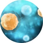 Sterilair ajuda a eliminar: Peira