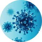 Sterilair: O que causa a rinite? Vírus.