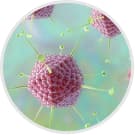 Sterilair ajuda a eliminar: Fungos