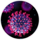 Sterilair ajuda a eliminar: Bactérias