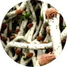 Sterilair ajuda a eliminar: Ácaros