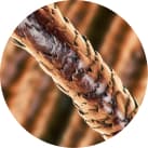 Sterilair ajuda a eliminar: Pelos