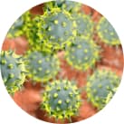 Sterilair ajuda a eliminar: Pólen