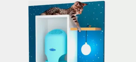 Purificador de ar Sterilair azul em um nicho, com um gato na prateleira de cima